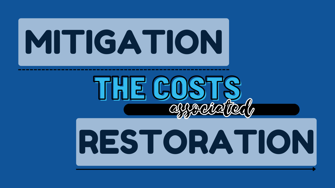 The Difference Between Water Damage Restoration and Cleanup